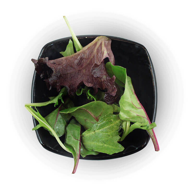 Salad Chu-ka_Salad