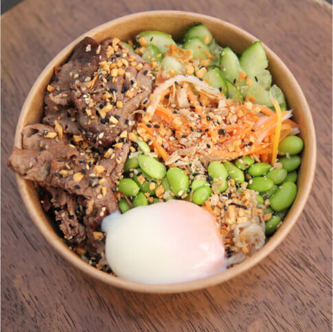 Wagyudon Beef Bowl-tinified premium_salmon